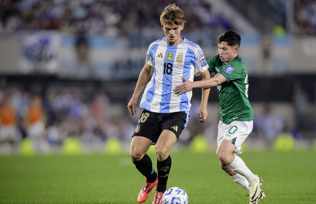 三个层面梳 三个层面梳